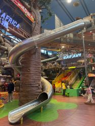 -卡通尼·Safari非洲探索乐园·生日会(金桥国际商业广场店)