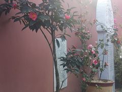 -大理文庙(大理古城)