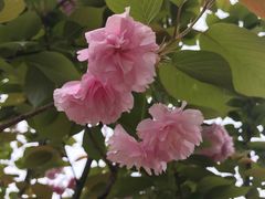 -洪湖家庭农场·团建·露营·会议