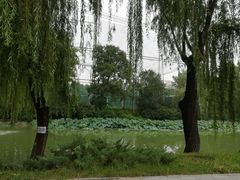 -青年湖公园水上世界