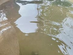 -许昌花溪大酒店