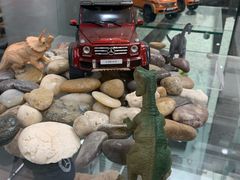 -奔驰利星行(北京花乡店)