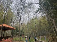 -句容茅山景区