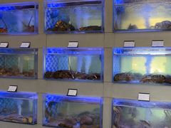 -映像威海·威海宴(威高广场店)