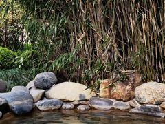 -张家港金凤凰度假村温泉