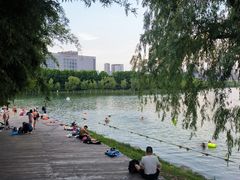 -天鹅湖体育公园