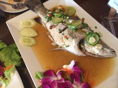 柠檬蒸鱼-Daddy Nimman Chiang Mai