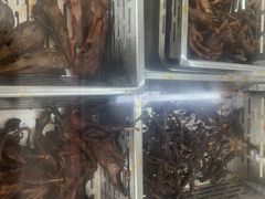 -金丹酱板鸭营业厅(紫缘路店)