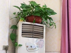 -陈有良尖椒鸡(江津总店)