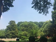 -河南省黄河迎宾馆