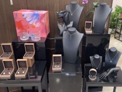 -加减美医美连锁品牌