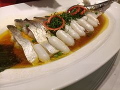 白水鱼段尾-汤记传菜(浦江店)