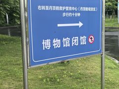 -盐城丹顶鹤湿地生态旅游区