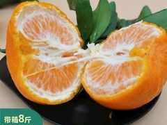 -两江国际影视城