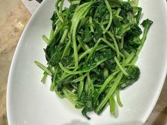 清炒豌豆尖-锦府盐帮·私宴(赛特店)