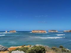 -墨尔本皇家植物园