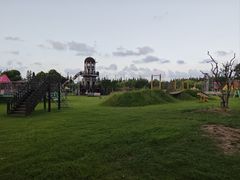-上海长兴岛郊野公园