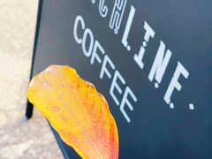 -Punchline Coffee&Roaster(同济大学店)