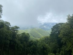 -莫干山风景区