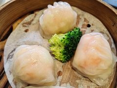 -新雅粤菜馆(南京东路店)