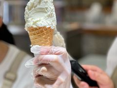 -野人先生Gelato(上海长宁龙之梦店)