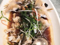 清蒸笋壳鱼-博多新记·粤菜(复兴店)