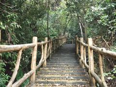 -南丹山森林王国