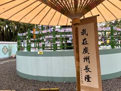 -广州长隆欢乐世界