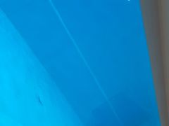 -上海潜殿潜水中心