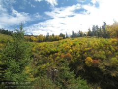 -叠溪松坪沟景区