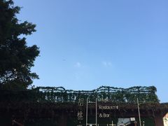 -胡桃里音乐酒馆(白云五号T5 MALL店)