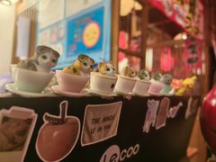 -千懿六本木酒场(常熟路店)