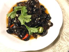凉拌木耳-陈生记黑鱼馆·20年活鱼现杀(宁波鼓楼店)