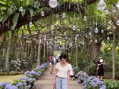 -广西壮族自治区药用植物园