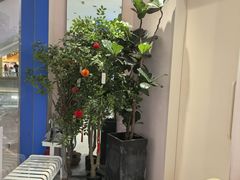 -天真蓝照相馆(杭州滨江宝龙店)