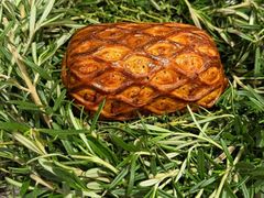 -Le Bistrot de Racine