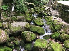 -陕西省红河谷森林公园