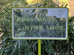 -云溪植物园