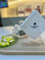 -哈喽美妈产后恢复中心(乐堤港店)
