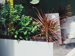 -ADO KAFE(大学城店)