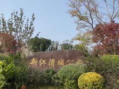 -新江湾城公园