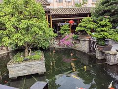 -猪肉婆私房菜(容桂总店)