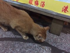 老宅-老宅原住民沙茶面精品小吃(龙头路店)