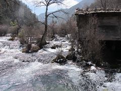 -九寨沟-树正沟