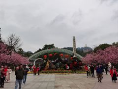 -南山植物园