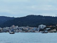 -广东惠东海龟国家级自然保护区