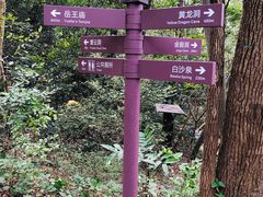 -杭州黄龙洞