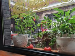 -苹果树下艺术餐厅(宋庄店)