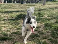 -小意思咖啡店(草桥店)