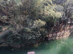 -十八棵（老龙井）御茶园(老龙井店)